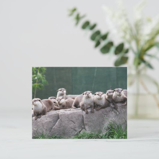 Otter Postkarte (Stehend Vorderseite)