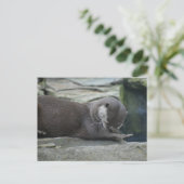 Otter Postkarte (Stehend Vorderseite)