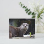 Otter Postkarte (Stehend Vorderseite)