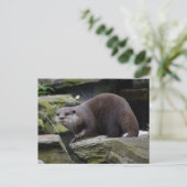 Otter Postkarte (Stehend Vorderseite)