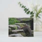 Otter Postkarte (Stehend Vorderseite)