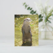 Otter Postkarte (Stehend Vorderseite)