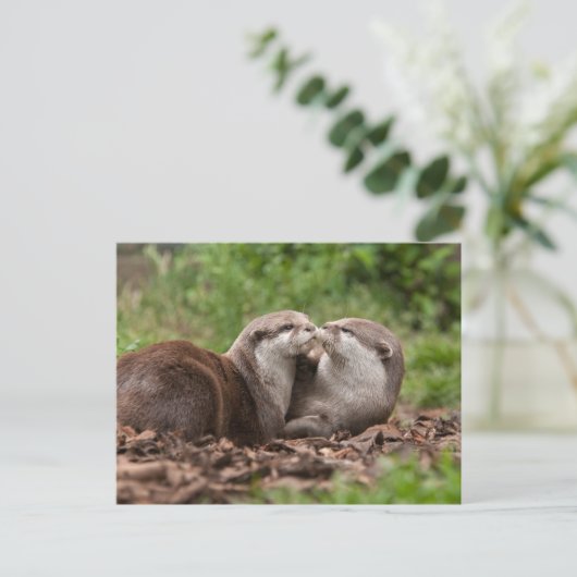 Otter-Postkarte Postkarte (Stehend Vorderseite)