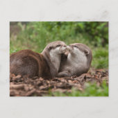 Otter-Postkarte Postkarte (Vorderseite)