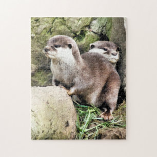 OTTER PUZZLE