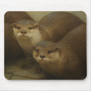 Otter Quartet - Spielerische Wildlife Art Print Mousepad
