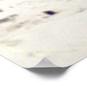 Otter Raft Poster (Ecke)