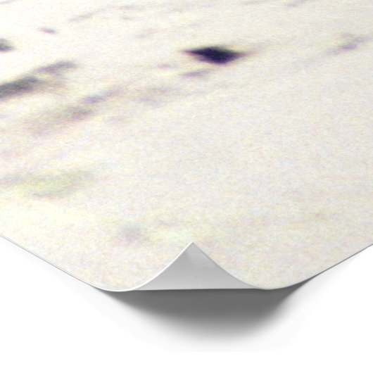 Otter Raft Poster (Ecke)