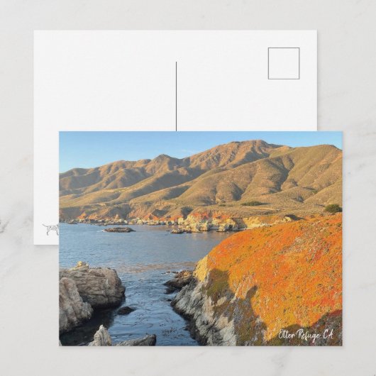 Otter Refuge, CA Postkarte (Vorne/Hinten)