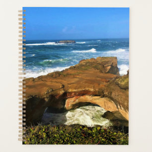Otter Rock at Devil's Punchbowl Staat Park, Oregon Planer