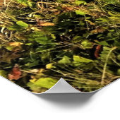 Otter Rock at Devil's Punchbowl Staat Park, Oregon Poster (Ecke)