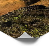 Otter Rock at Devil's Punchbowl Staat Park, Oregon Poster (Ecke)