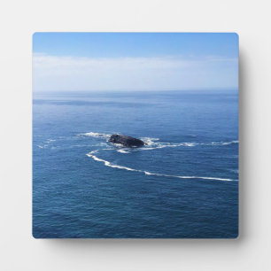 Otter Rock, Cape Foulweather, Newport, Oregon Fotoplatte