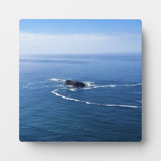 Otter Rock, Cape Foulweather, Newport, Oregon Fotoplatte (Vorderseite)