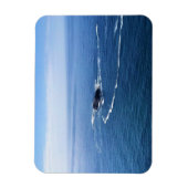 Otter Rock, Cape Foulweather, Newport, Oregon Magnet (Vertikal)