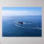 Otter Rock, Cape Foulweather, Newport, Oregon Poster (Vorne)