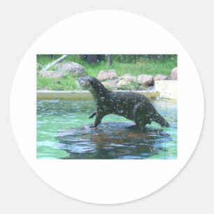 Otter Runder Aufkleber