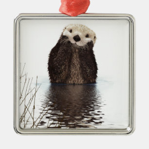 Otter Silbernes Ornament