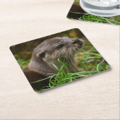Otter Spritzer Rechteckiger Pappuntersetzer (angewinkelt)