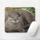 Otter-stillstehende Mausunterlage Mousepad (Mit Mouse)