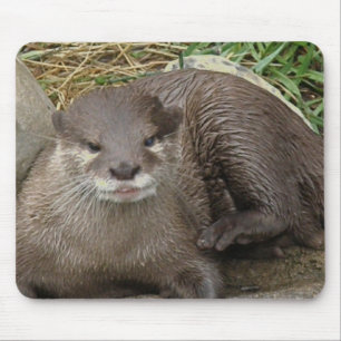 Otter-stillstehende Mausunterlage Mousepad