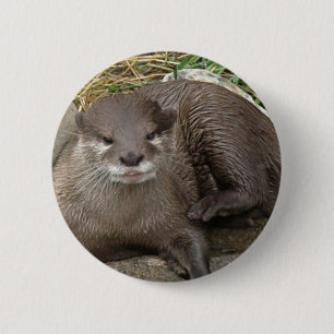Otter-stillstehender Knopf Button