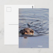 Otter Swimming Foto Postkarte (Vorne/Hinten)