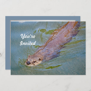 Otter Swimming Wildlife Foto Geburtstag Einladung
