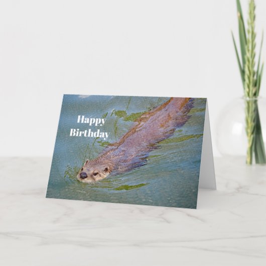 Otter Swimming Wildlife Foto Geburtstag Karte (Vorderseite)