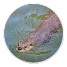 Otter Swimming Wildlife Foto