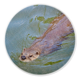 Otter Swimming Wildlife Foto Keramikknauf