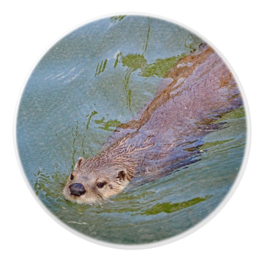 Otter Swimming Wildlife Foto Keramikknauf (Vorderseite)