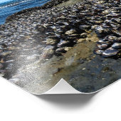 Otter Wappen Beach Oregon Fotodruck (Ecke)