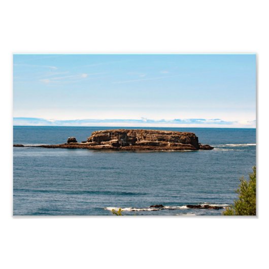 Otter Wappen Beach Oregon Fotodruck (Vorne)