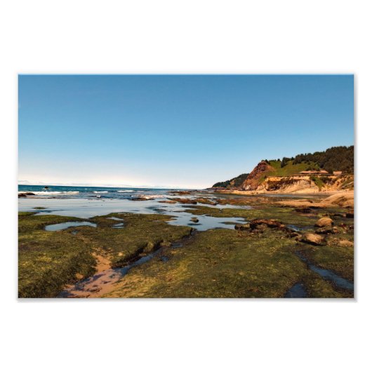 Otter Wappen Beach Oregon Fotodruck (Vorne)