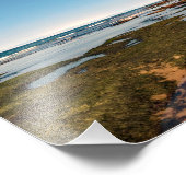 Otter Wappen Beach Oregon Fotodruck (Ecke)