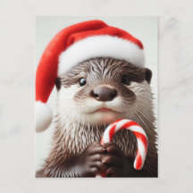 Otter Weihnachtsmannmütze Adorable Candy Cane