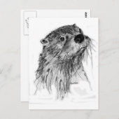 Otter Whiskers Postkarte (Vorne/Hinten)