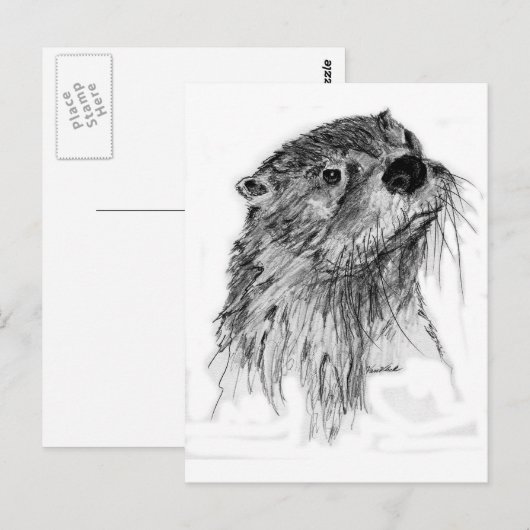 Otter Whiskers Postkarte (Vorne/Hinten)