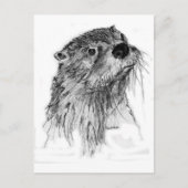 Otter Whiskers Postkarte (Vorderseite)