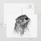 Otter Whiskers Postkarte (Vorne/Hinten)