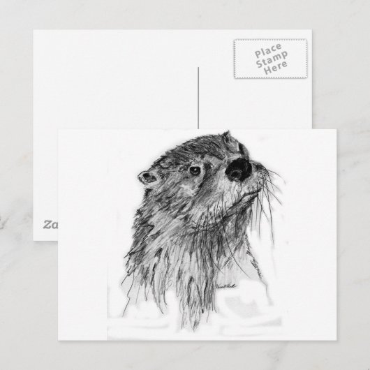Otter Whiskers Postkarte (Vorne/Hinten)