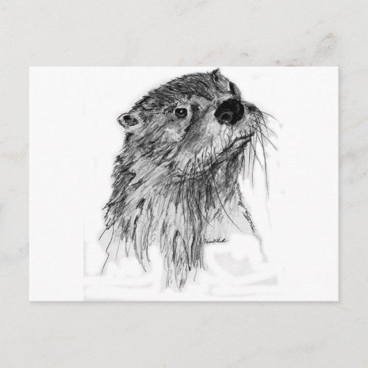 Otter Whiskers Postkarte (Vorderseite)