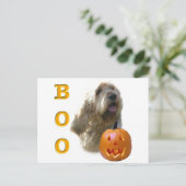 Otterhound Boo Postkarte (Stehend Vorderseite)