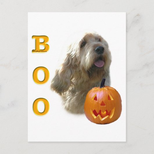 Otterhound Boo Postkarte (Vorderseite)