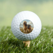 Otterhound Golfball (Insitu T-Shirt)