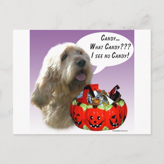 Otterhound Halloween Candy Postkarte (Vorderseite)