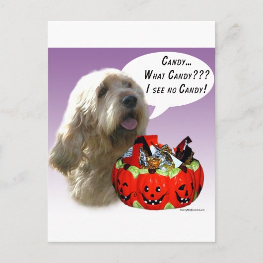 Otterhound Halloween Candy Postkarte (Vorderseite)