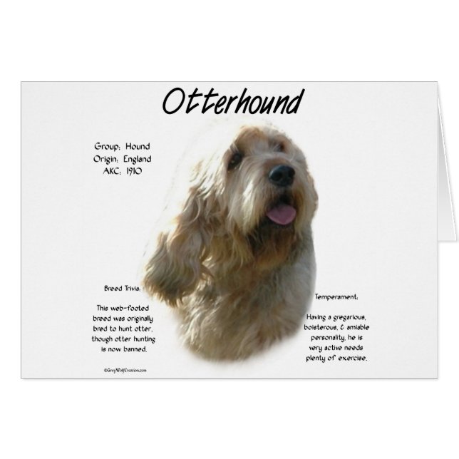 Otterhound History Design (Vorderseite (Horizontal))