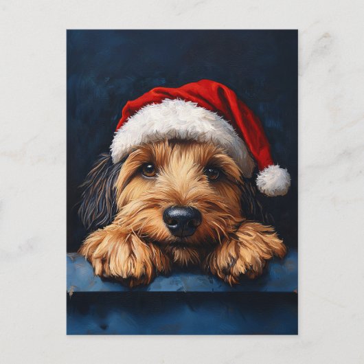 Otterhound in einer Weihnachtsmannmütze Postkarte (Vorderseite)